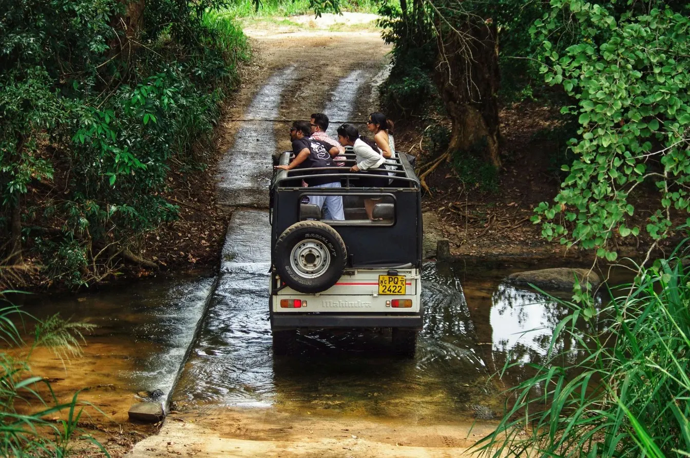 Customized tour packages and personalized holidays by Saar Holidays